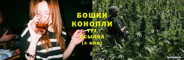 соль ск Зеленодольск